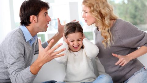family and divorce lawyer family and divorce lawyer